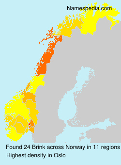 Surname Brink in Norway