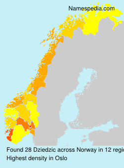 Surname Dziedzic in Norway