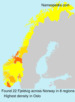 Surname Fjeldvig in Norway