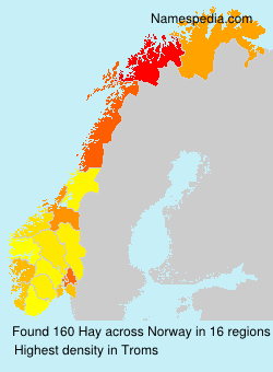 Surname Hay in Norway