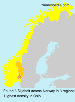 Surname Siljeholt in Norway