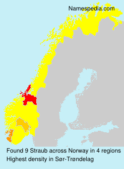 Surname Straub in Norway