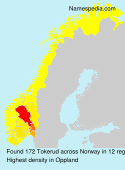Surname Tokerud in Norway