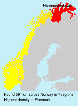 Surname Turi in Norway