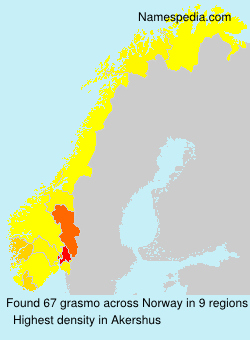 Surname grasmo in Norway