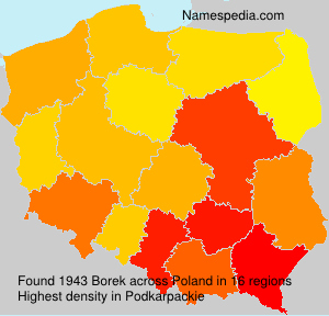 Surname Borek in Poland