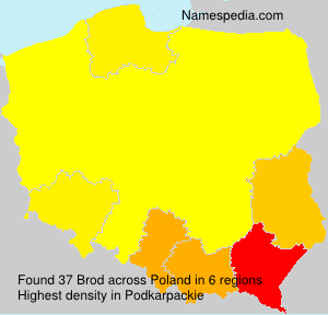 Surname Brod in Poland