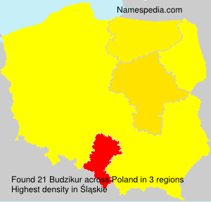 Surname Budzikur in Poland