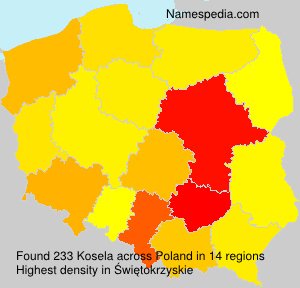 Surname Kosela in Poland