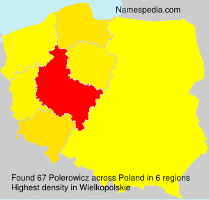 Surname Polerowicz in Poland