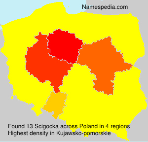 Surname Scigocka in Poland