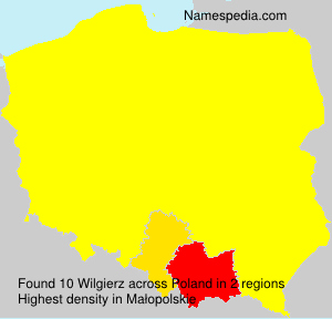 Surname Wilgierz in Poland