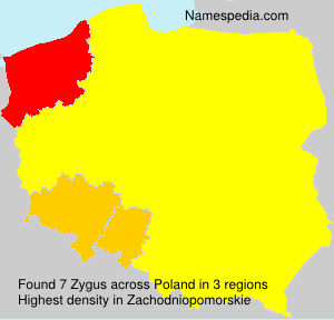 Surname Zygus in Poland