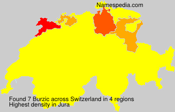 Surname Burzic in Switzerland