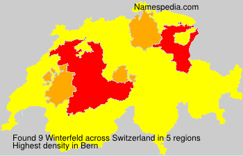 Surname Winterfeld in Switzerland