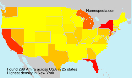 Surname Amira in USA