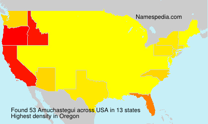 Surname Amuchastegui in USA