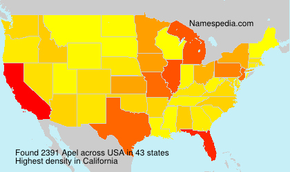 Surname Apel in USA