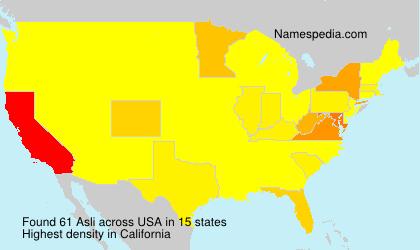 Surname Asli in USA