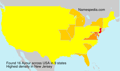Surname Aynur in USA
