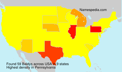 Surname Baldys in USA