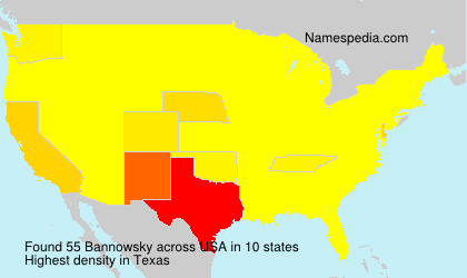 Surname Bannowsky in USA Surname Bannowsky in USA
