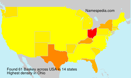 Surname Baskey in USA