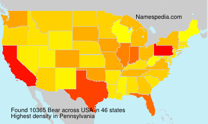 Surname Bear in USA