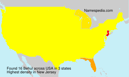 Surname Behul in USA