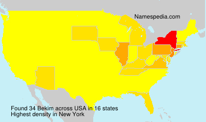 Surname Bekim in USA