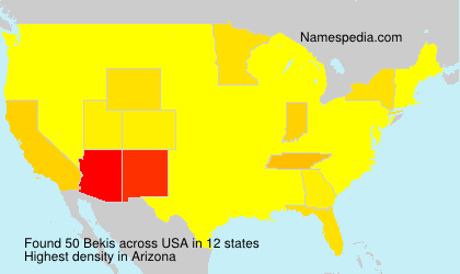 Surname Bekis in USA