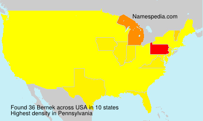Surname Bernek in USA