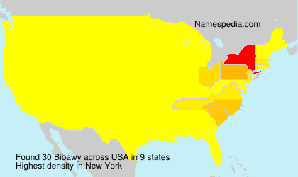 Surname Bibawy in USA