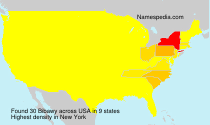 Surname Bibawy in USA Surname Bibawy in USA