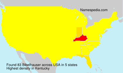 Surname Bibelhauser in USA