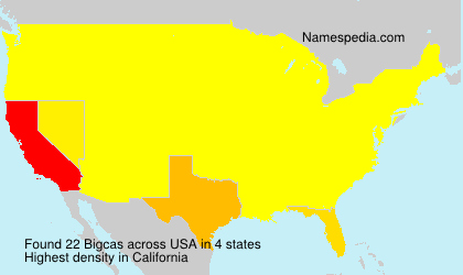 Surname Bigcas in USA Surname Bigcas in USA