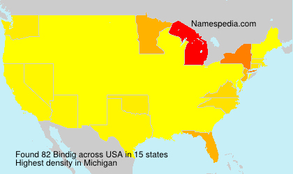Surname Bindig in USA