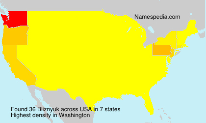 Surname Bliznyuk in USA