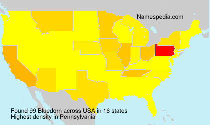 Surname Bluedorn in USA