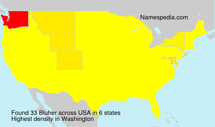 Surname Bluher in USA