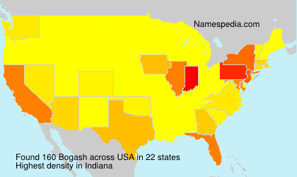 Surname Bogash in USA
