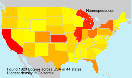 Surname Bogner in USA