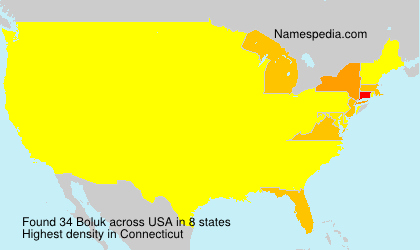 Surname Boluk in USA