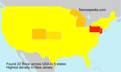 Surname Borai in USA