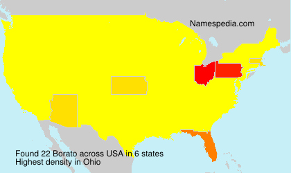 Surname Borato in USA