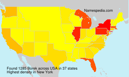 Surname Borek in USA