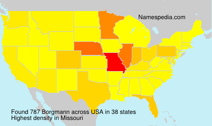 Surname Borgmann in USA