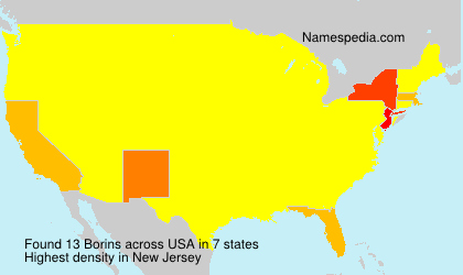 Surname Borins in USA