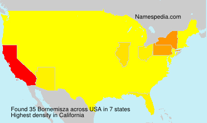 Surname Bornemisza in USA