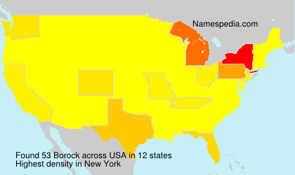 Surname Borock in USA